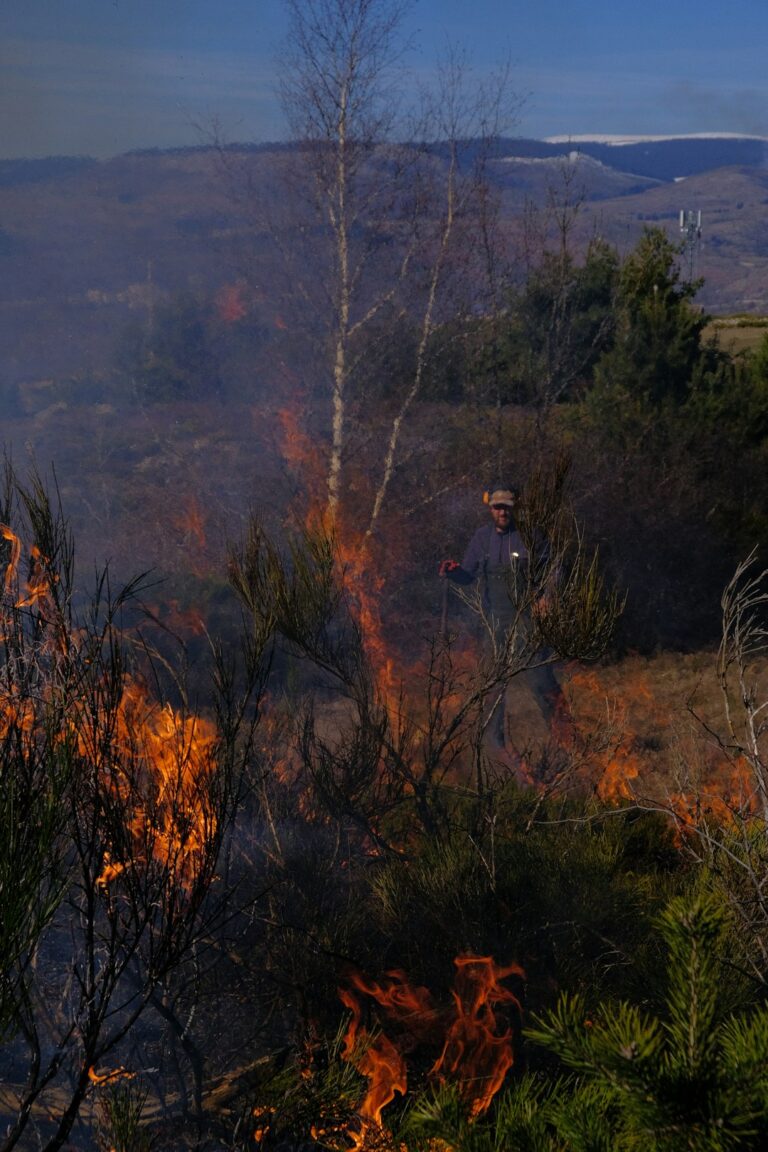 Wildfire mitigation contractor performing controlled brush and defensible space work for municipal and HOA properties in California