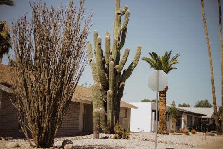 High-Value Home Insurance in Arizona: Protecting Your Luxury Property