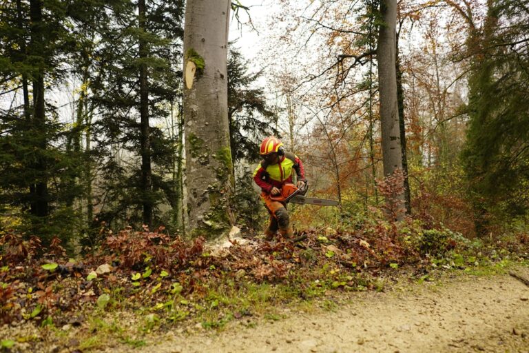 Wildfire Mitigation Contractor Insurance Requirements for Northern California Contracts