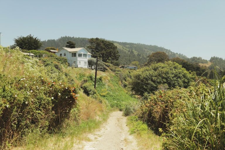 Wildfire Mitigation Documentation for High-Value California Homeowners: What Private-Market Insurers Need to See