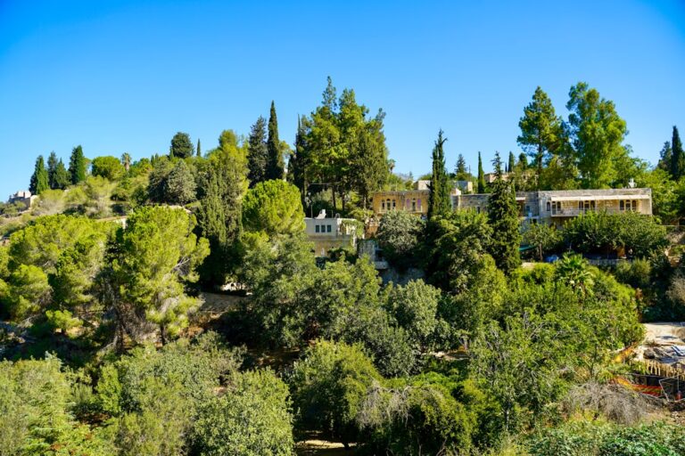 Lush green trees and buildings on a hillside.
