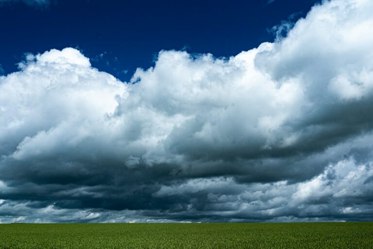 Cloud server infrastructure used for third-party AI API integrations